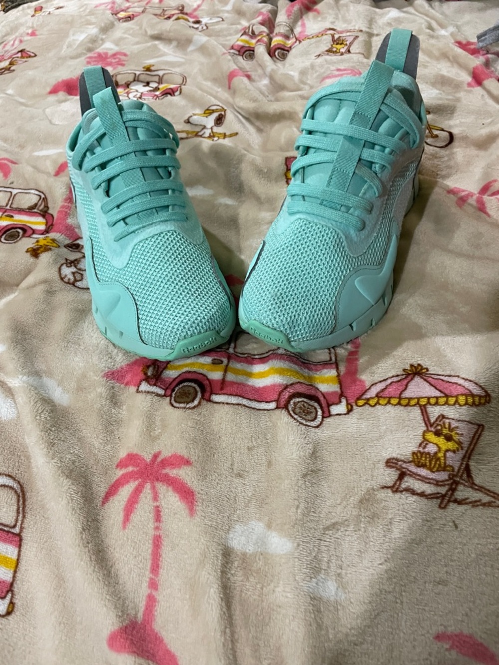 Reebok Women's Mint Green Athletic Sneakers